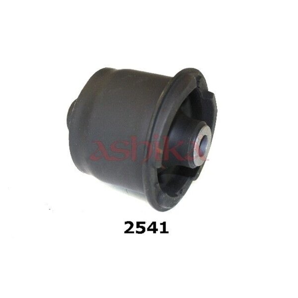 ASHIKA GOM-2541 Lagerung, Achskörper