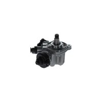 BOSCH 0 445 010 811 Hochdruckpumpe