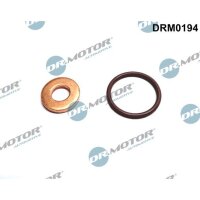 Dr.Motor Automotive DRM0194 Dichtungssatz,...