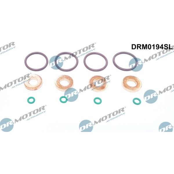 Dr.Motor Automotive DRM0194SL Dichtungssatz, Einspritzdüse