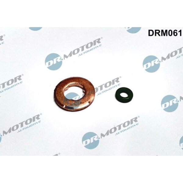 Dr.Motor Automotive DRM061 Dichtungssatz, Einspritzdüse