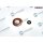 Dr.Motor Automotive DRM061 Dichtungssatz, Einspritzdüse