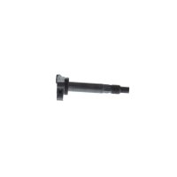 BOSCH 0 986 AG0 501 Zündspule