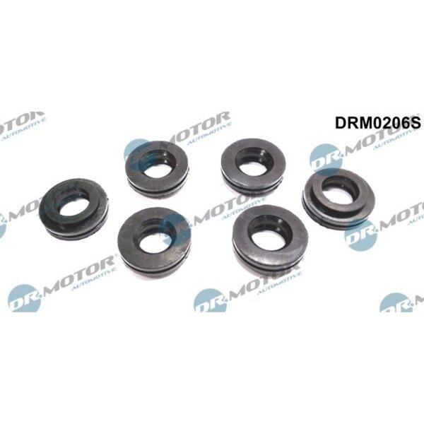 Dr.Motor Automotive DRM0206S Dichtung, Düsenhalter