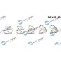 Dr.Motor Automotive DRM0213S Dichtung, Kraftstoffleitung