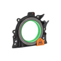 CORTECO 19036655B Wellendichtring, Kurbelwelle