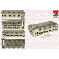 FAI AutoParts BCH041 Zylinderkopf