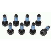 SACHS 1874 000 073 Schraubensatz, Schwungrad