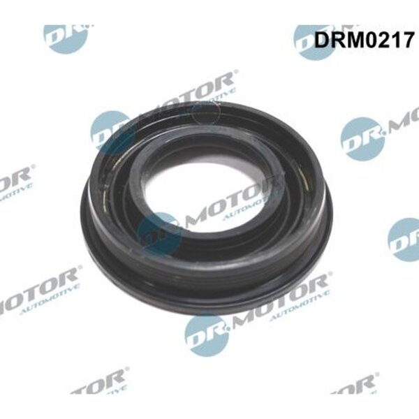 Dr.Motor Automotive DRM0217 Dichtung, Düsenhalter