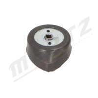 MERTZ M-S4341 Lagerung, Automatikgetriebe