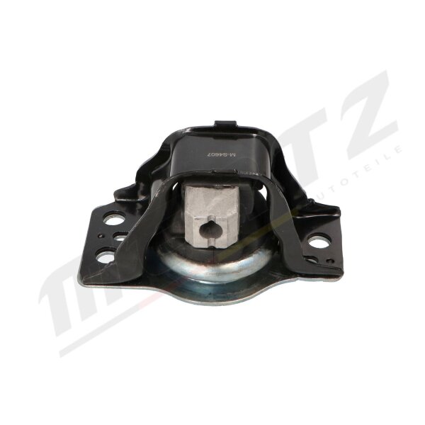 MERTZ M-S4607 Lagerung, Motor