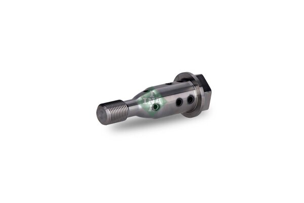 Schaeffler INA 427 0021 10 Zentralventil, Nockenwellenverstellung