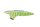 Schaeffler INA 552 0199 10 Gleitschiene, Steuerkette