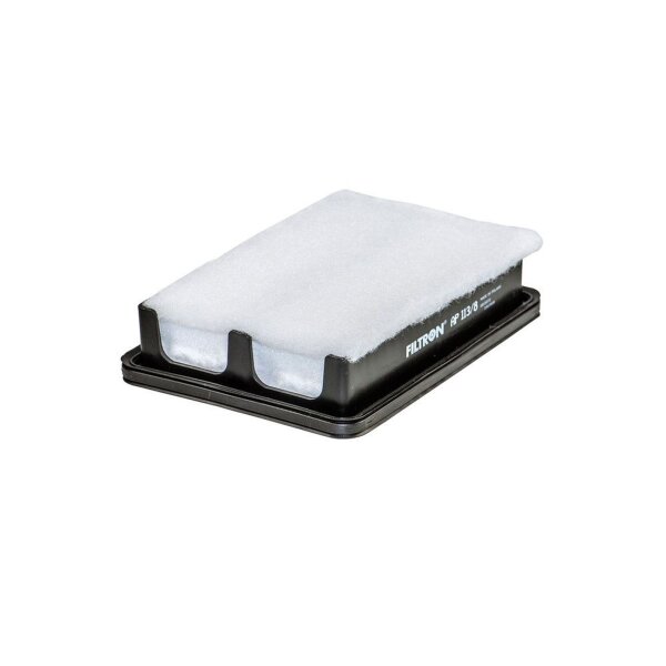 FILTRON AP 113/8 Luftfilter