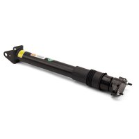 Arnott SK-2868 Stoßdämpfer
