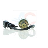 ACAUTO AC-02ZX06 Regelventil, Kompressor