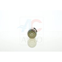 ACAUTO AC-02ZX08 Regelventil, Kompressor
