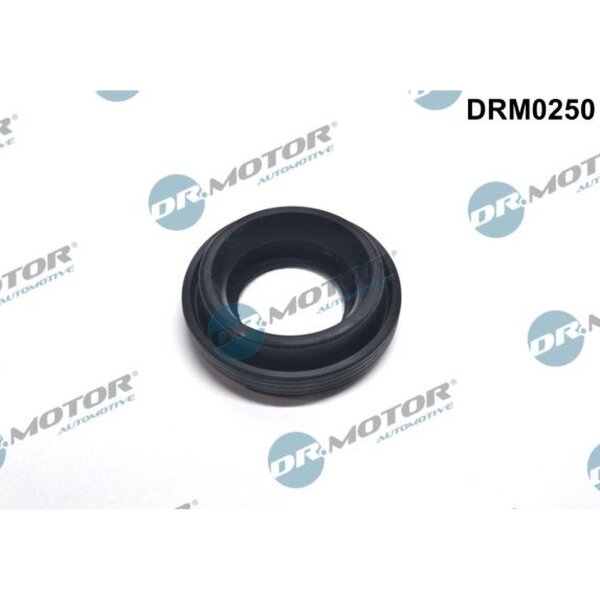 Dr.Motor Automotive DRM0250 Dichtung, Düsenhalter