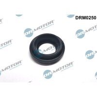 Dr.Motor Automotive DRM0250 Dichtung, Düsenhalter