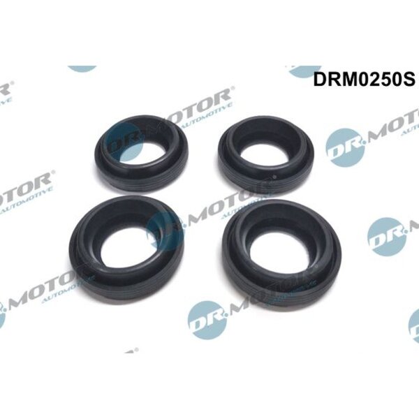 Dr.Motor Automotive DRM0250S Dichtung, Düsenhalter