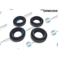 Dr.Motor Automotive DRM0250S Dichtung, Düsenhalter