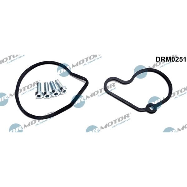 Dr.Motor Automotive DRM0251 Reparatursatz, Unterdruckpumpe (Bremsanlage)