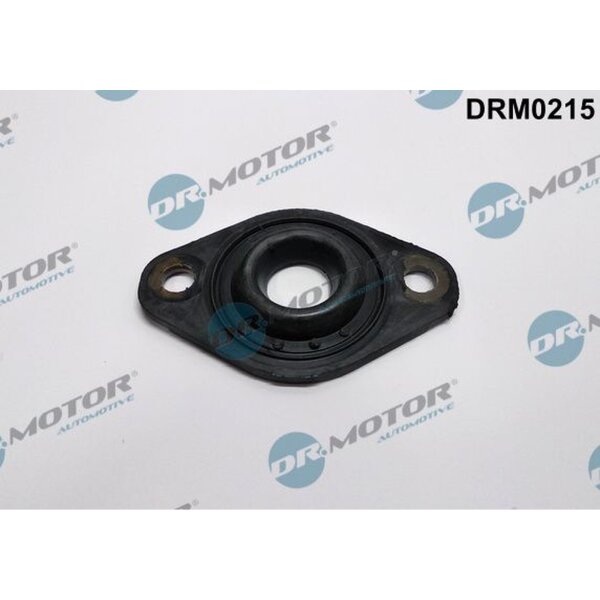 Dr.Motor Automotive DRM0215 Dichtung, Düsenhalter