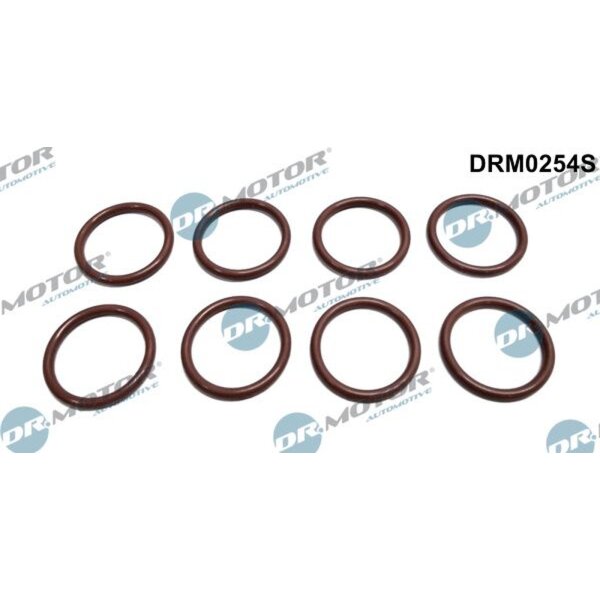 Dr.Motor Automotive DRM0254S Dichtring, Einspritzventil