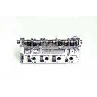 AMC 908895 Zylinderkopf