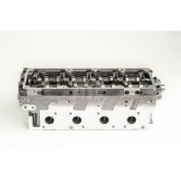 AMC 908920 Zylinderkopf