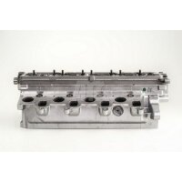 AMC 908920 Zylinderkopf