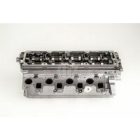 AMC 908920 Zylinderkopf