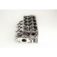 AMC 908920 Zylinderkopf