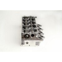 AMC 908925 Zylinderkopf