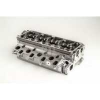 AMC 908956 Zylinderkopf