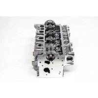 AMC 908989 Zylinderkopf