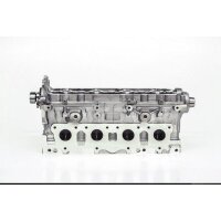 AMC 910901 Zylinderkopf