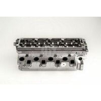AMC 908956K Zylinderkopf