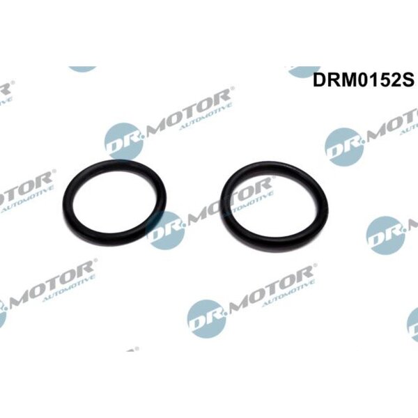Dr.Motor Automotive DRM0152S Dichtung, Heizflansch (Ansaugluftvorwärmung)