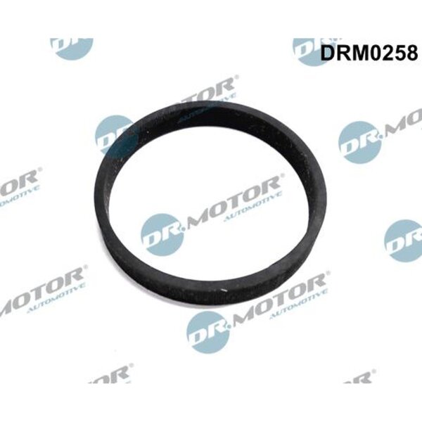 Dr.Motor Automotive DRM0258 Dichtung, Turbineneinlass (Lader)