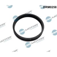 Dr.Motor Automotive DRM0258 Dichtung, Turbineneinlass...