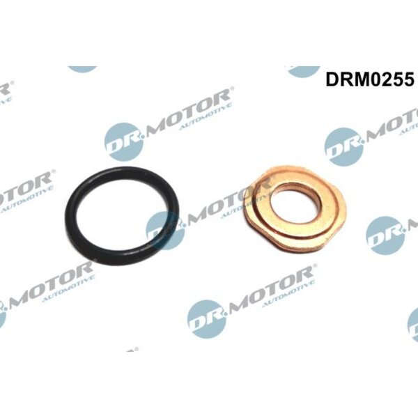 Dr.Motor Automotive DRM0255 Dichtungssatz, Einspritzdüse