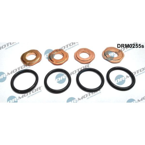 Dr.Motor Automotive DRM0255S Dichtungssatz, Einspritzdüse