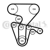 CONTINENTAL CTAM CT877WP3PRO Wasserpumpe + Zahnriemensatz