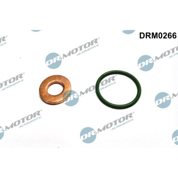 Dr.Motor Automotive DRM0266 Dichtungssatz, Einspritzdüse