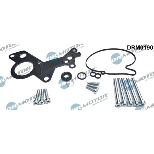 Dr.Motor Automotive DRM0190 Reparatursatz, Unterdruckpumpe (Bremsanlage)