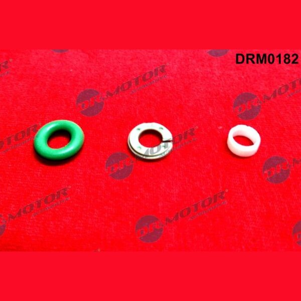 Dr.Motor Automotive DRM0182 Dichtungssatz, Einspritzdüse