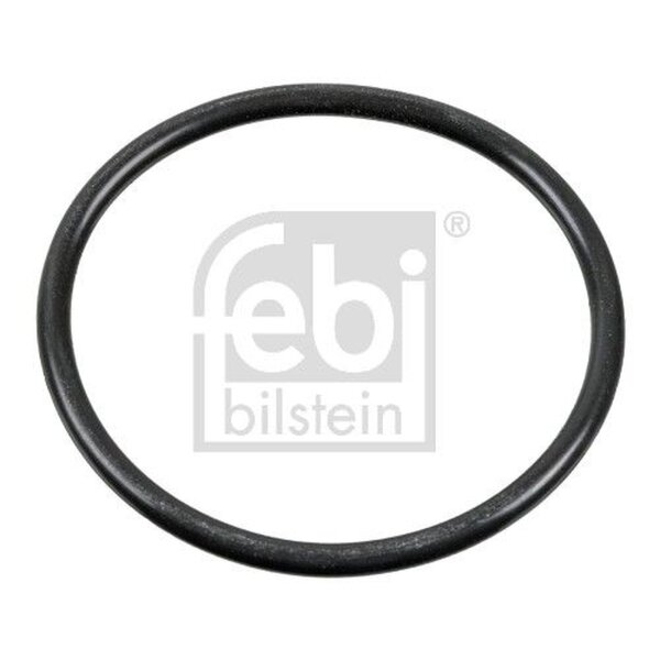 FEBI BILSTEIN 100165 Dichtung, Nockenwellenverstellung