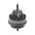 FEBI BILSTEIN 100688 Lagerung, Motor