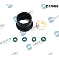 Dr.Motor Automotive DRM066 Dichtungssatz, Einspritzdüse